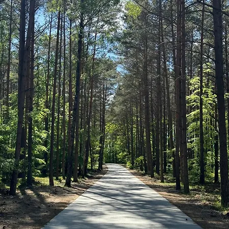 Alojamento de Turismo Selvagem Przy Pracowni *