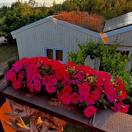 Alojamento de Turismo Selvagem Przy Pracowni