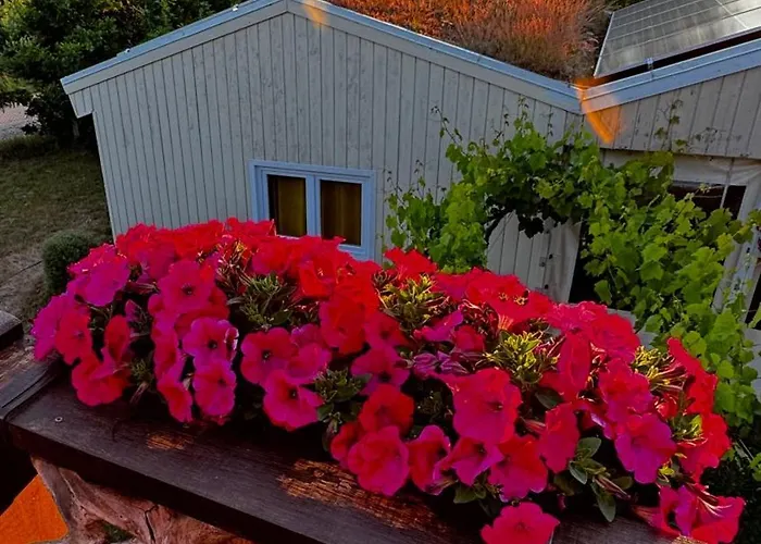 Jaktstuga Przy Pracowni